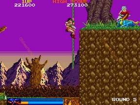 une photo d'Ã©cran de Rastan Saga sur Arcade